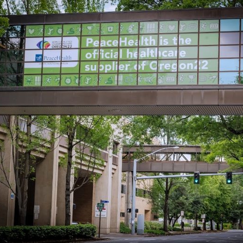 Window Graphics